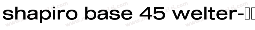 shapiro base 45 welter字体转换
